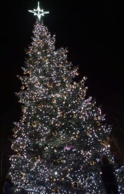 Рождественская звезда🌟🎄