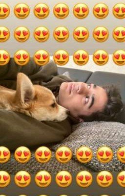 Димиль (Здесь меня держишь только ты) ~Скорректирован~