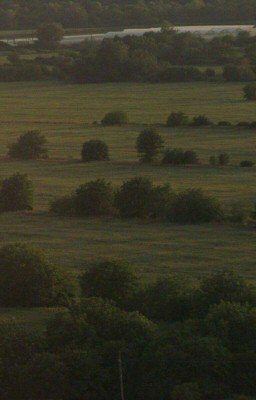 Ненавижу тебя..... [ЗАВЕРШЁН]