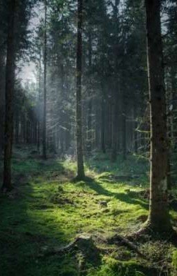 Прокси Кабадатха 