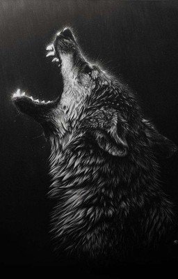 Волк одиночка