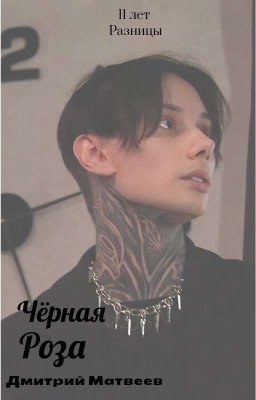 11Лет Разницы...Чёрная Роза|Дмитрий Матвеев|