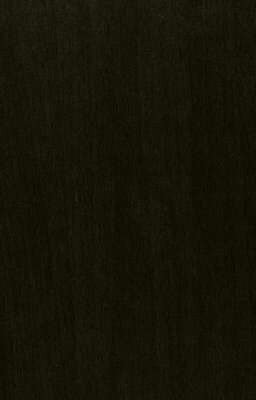 Звонок Самому Себе