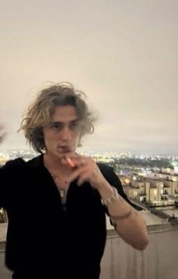 больше,чем фанатка V.H 