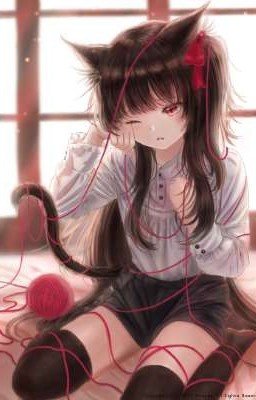 котёнок своего хозяина 