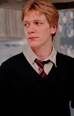 Любишь..? Больше Жизни...