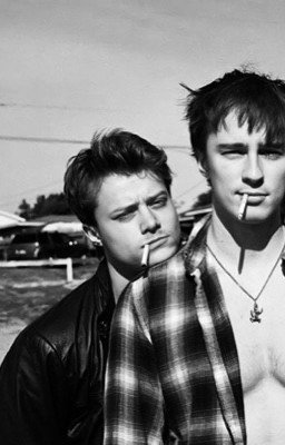 Больше не акула