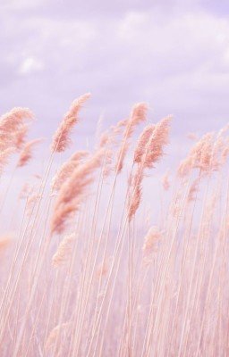 Там, где больше не видно солнца