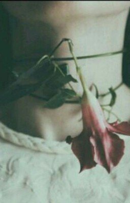 мне нужно больше 