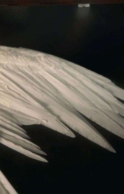 рая больше нет