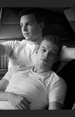 семья галлавич