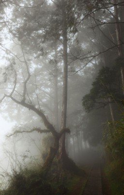 Что может быть больнее