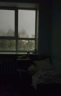 больничная палата 