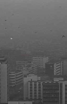 Почему любить Родину - больно?