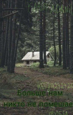 Больше нам никто не помешает... 