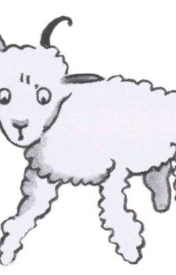 Кудрявый барашек с больной головой 