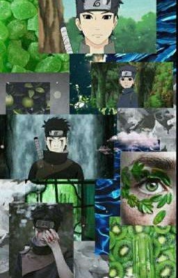 к чёрту канон (Заброшен!)