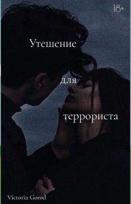 Утешение для террориста.