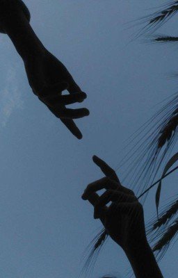 they destroyed us [J.H.] {закончен}