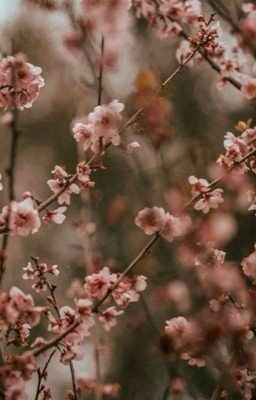 Иллюзия жизни