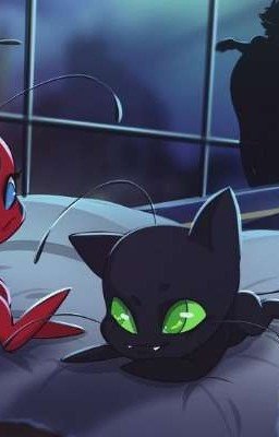 Незнакомцы знающие о друг друге больше чем кто либо 