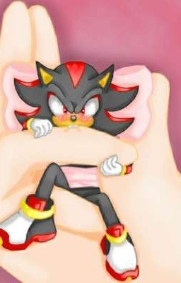 Мой Маленьки Ёжик