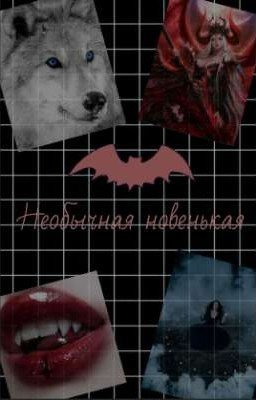 Необычная новенькая