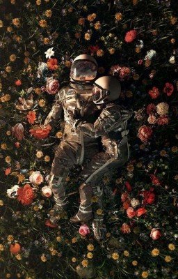 Мир Стихотворений