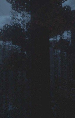 Эта жестокая война... (Dream SMP)