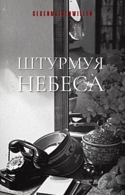 Штурмуя небеса