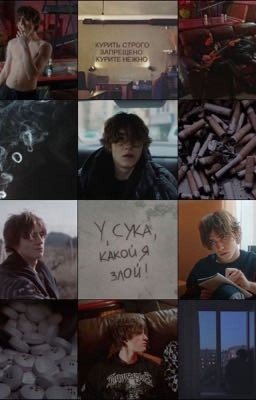 Василек кисы 