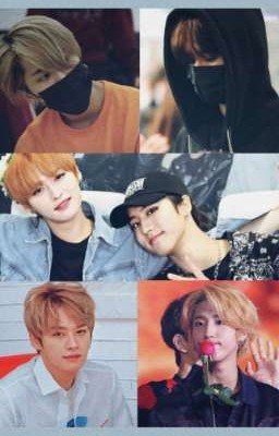 Яойщик по соседству 