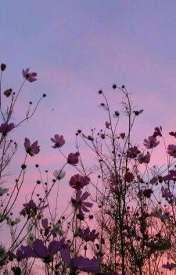 Правда жизни