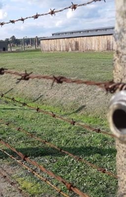 Встреча с отцом