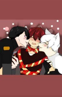 семейная жизнь