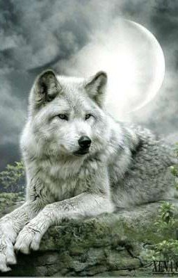 Истинная Альфа-самка