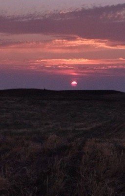 Малиновый звон 