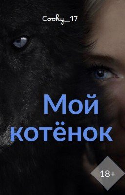 Мой котенок