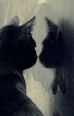 Глория в зазеркалье.