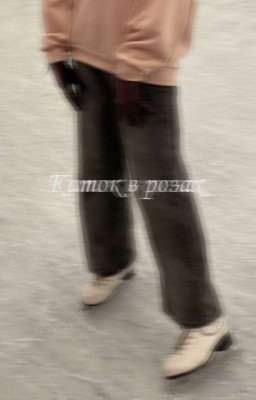 Каток в розах