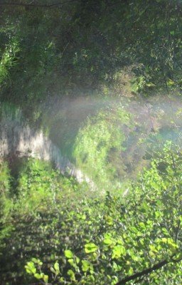 Роман Про Художку 