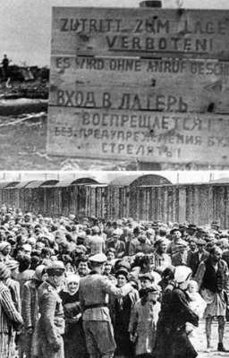 Они были сильными и смелыми