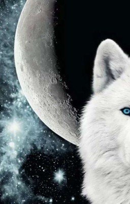 Белая Альфа