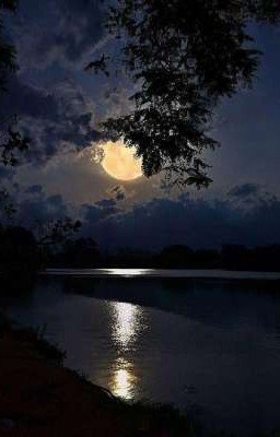 Ночь без сна