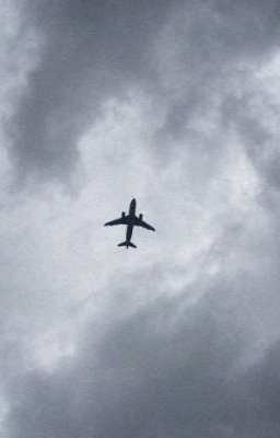 дети с поляны..