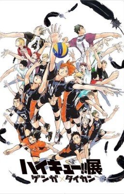 это реакция Haikyuu детка🤭