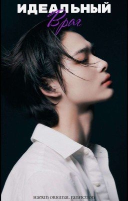 Идеальный враг