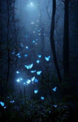 Жизнь и истории автора