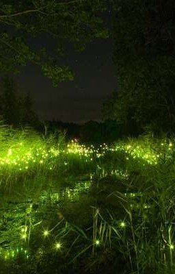 Я твой враг