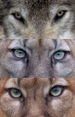 выбор между другом и врагом "ГЛАВЫ НЕ ВЫХОДЯТ ЗАБРОШЕНО"